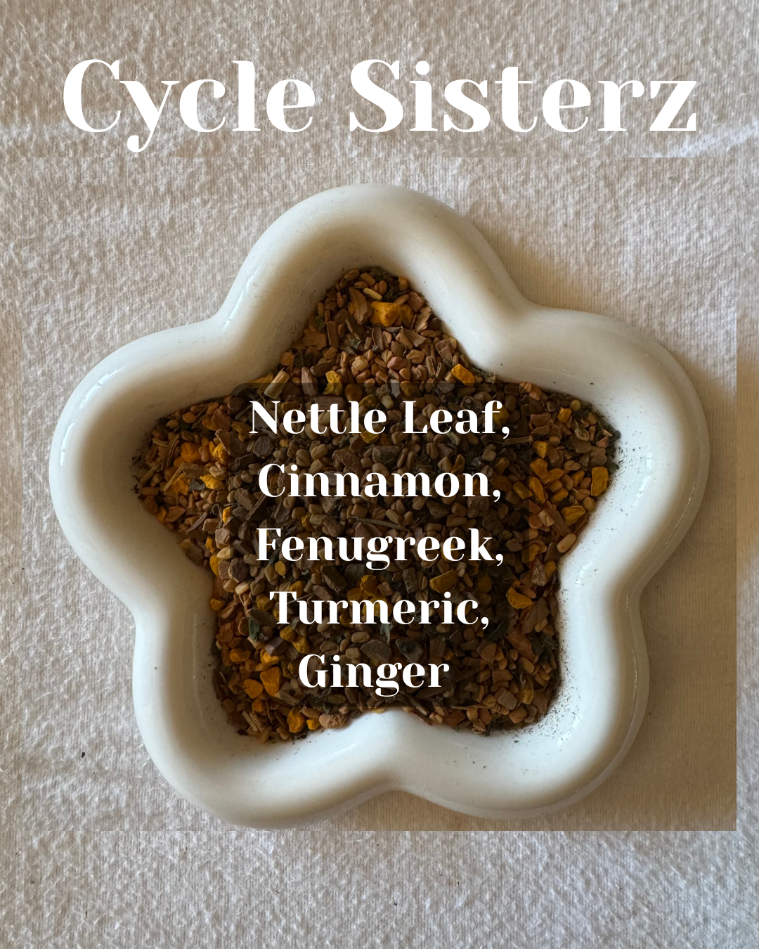 Cycle Sisterz
